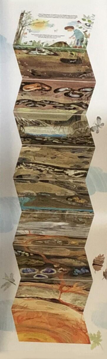 Pas cu pas spre adancimi [3]