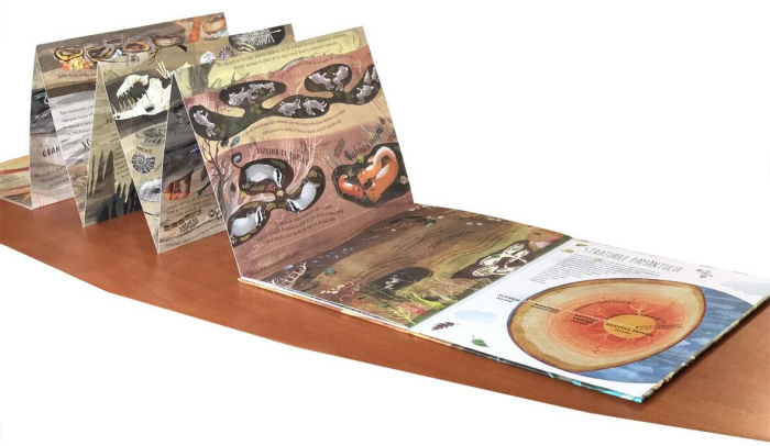 Pas cu pas spre adancimi [5]