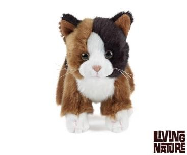 Pisicuta de plus [1]