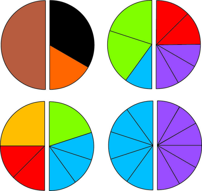 Placinta fractiilor [7]