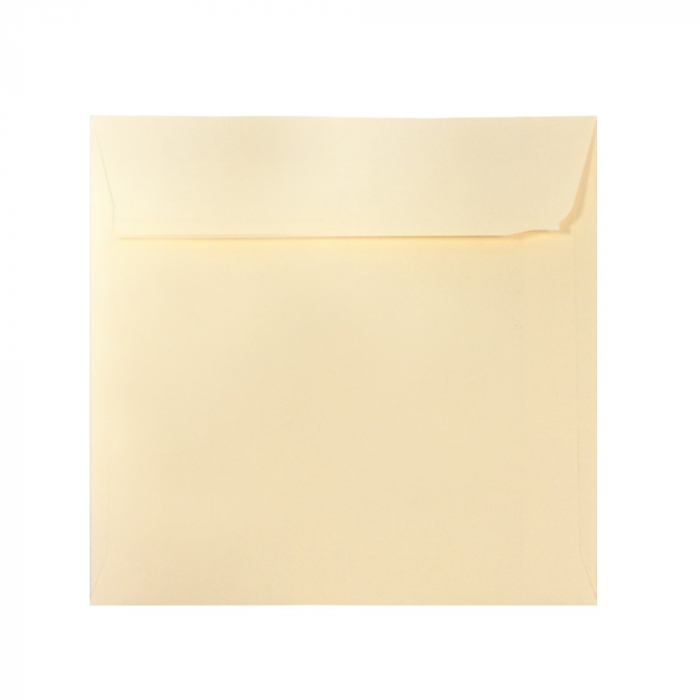 PLIC 14X14 CM PATRAT COLOR SILICONIC DACO PC1414C [1]