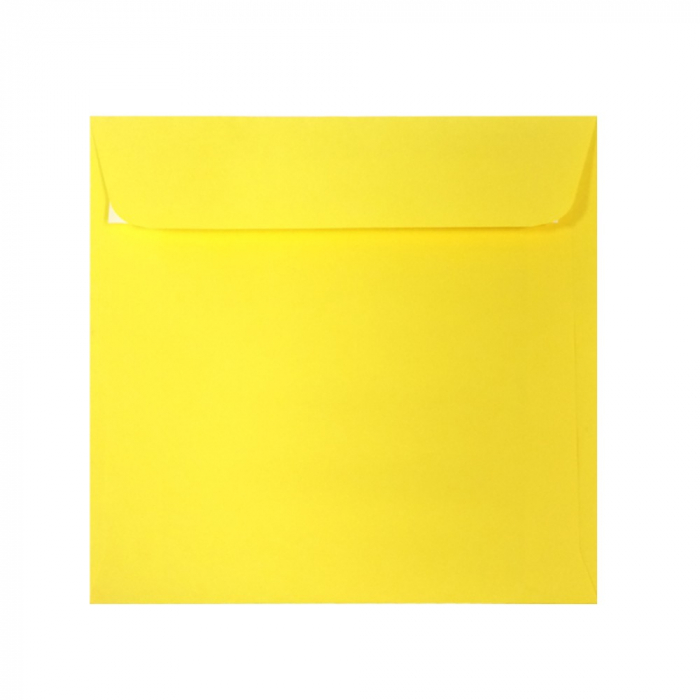 PLIC 16X16 CM PATRAT COLOR SILICONIC DACO PC1616G [1]