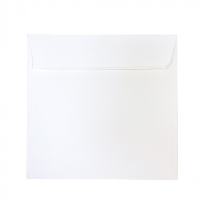 PLIC 16X16 CM PATRAT COLOR SILICONIC DACO PC1616W [1]