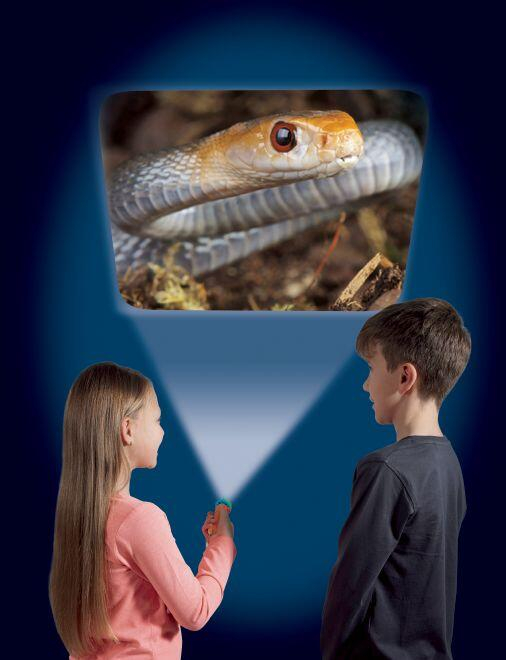 Proiector tip lanterna - Animale periculoase [5]