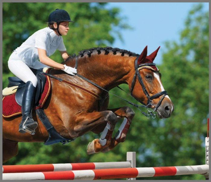 Proiector tip lanterna - Caluti [11]