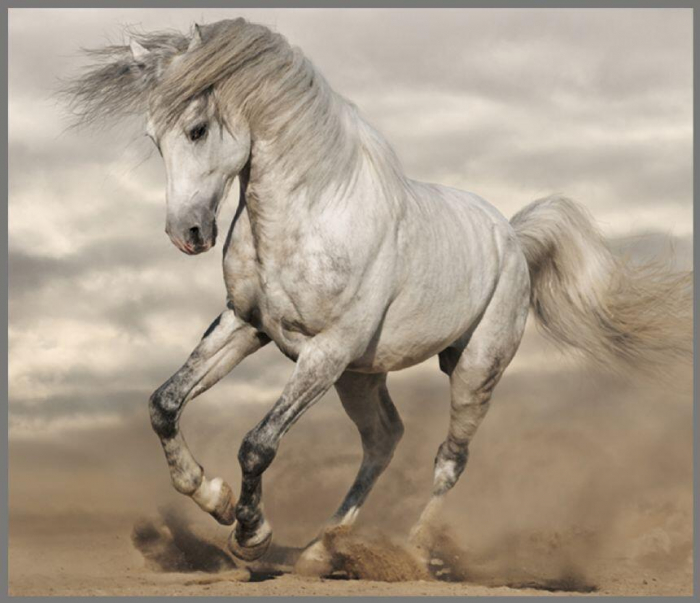 Proiector tip lanterna - Caluti [10]