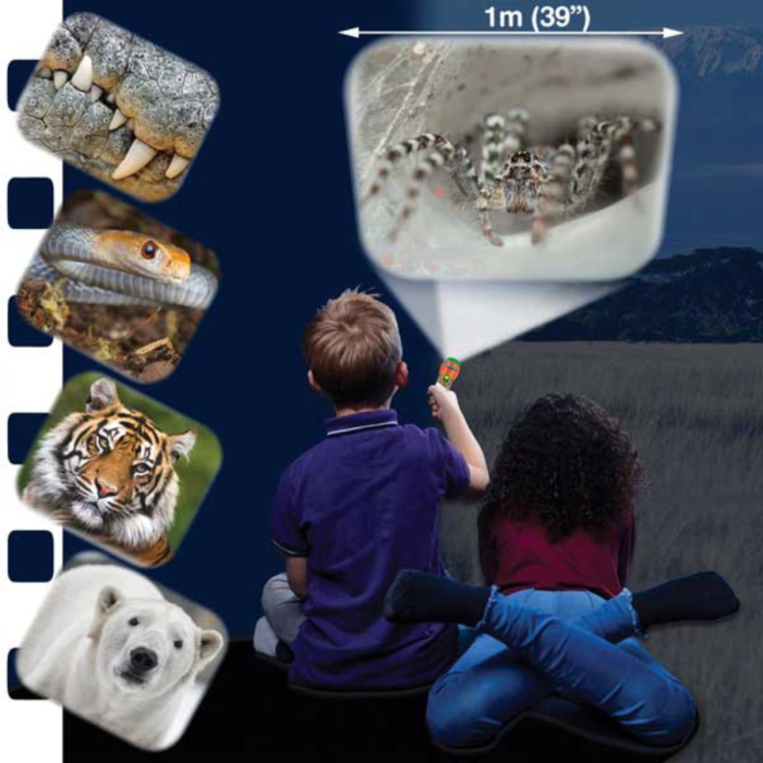 Proiector tip lanterna - Cele mai periculoase animale [2]