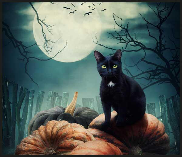 Proiector tip lanterna - Dragon si vrajitor [2]