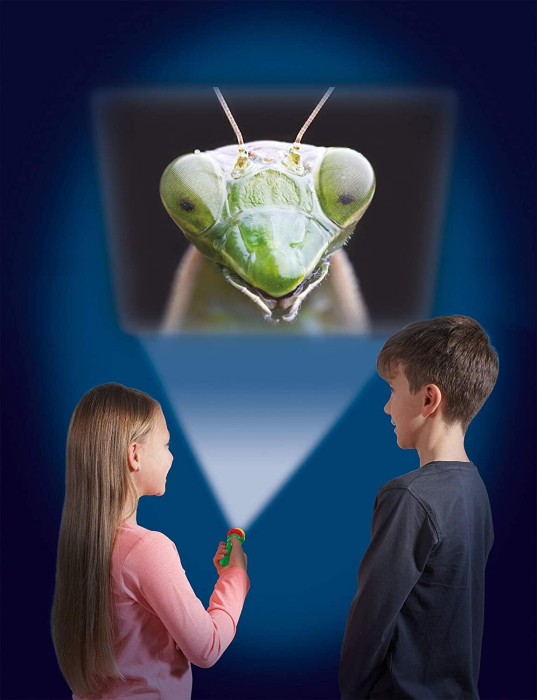 Proiector tip lanterna - Insecte [5]