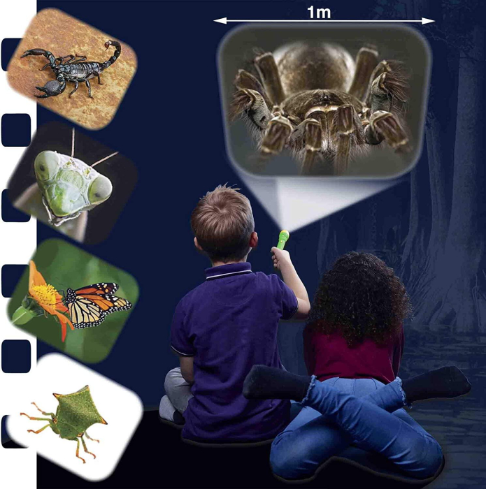 Proiector tip lanterna - Insecte [4]