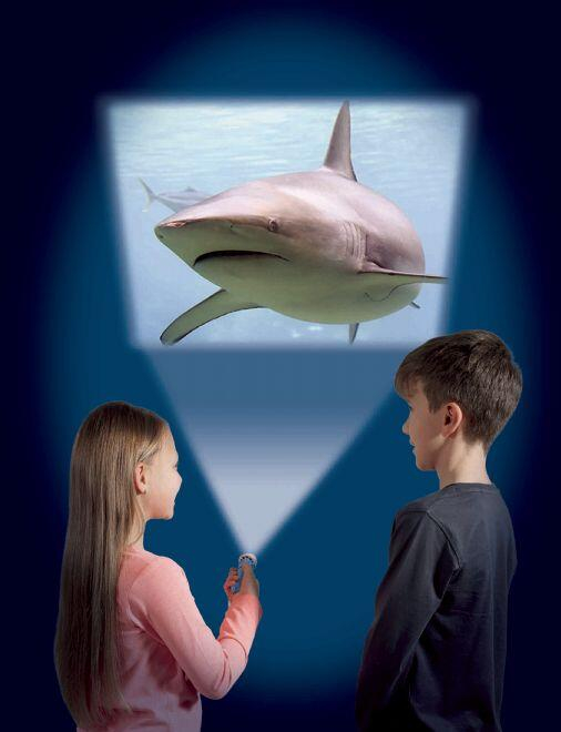 Proiector tip lanterna - Rechini [4]