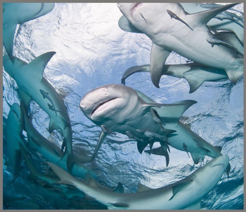 Proiector tip lanterna - Rechini [6]