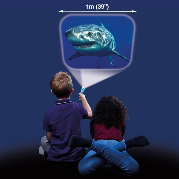 Proiector tip lanterna - Rechini periculosi [2]