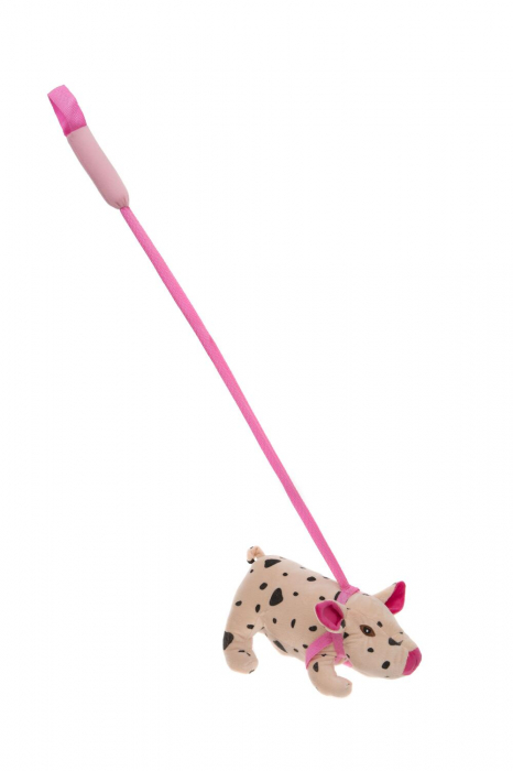 Purcelus din plus cu lesa [1]