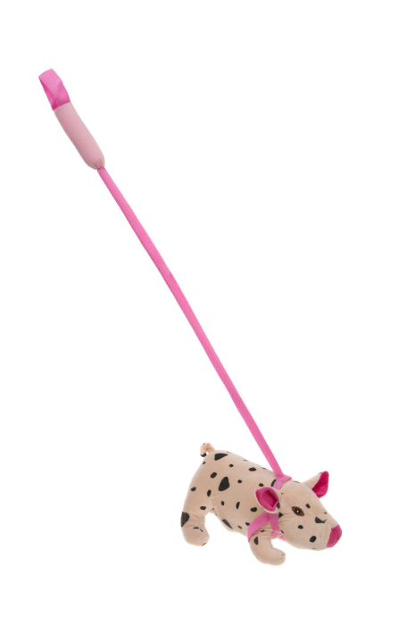 Purcelus din plus cu lesa [1]