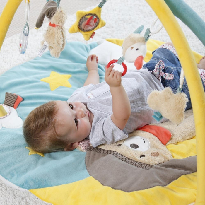 Salteluta de joaca - Bruno [4]