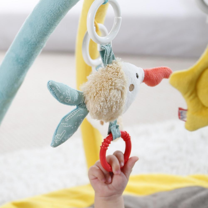 Salteluta de joaca - Bruno [3]