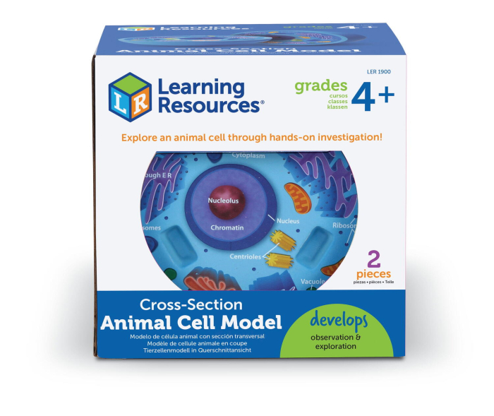 Sectiunea celulei animale [4]