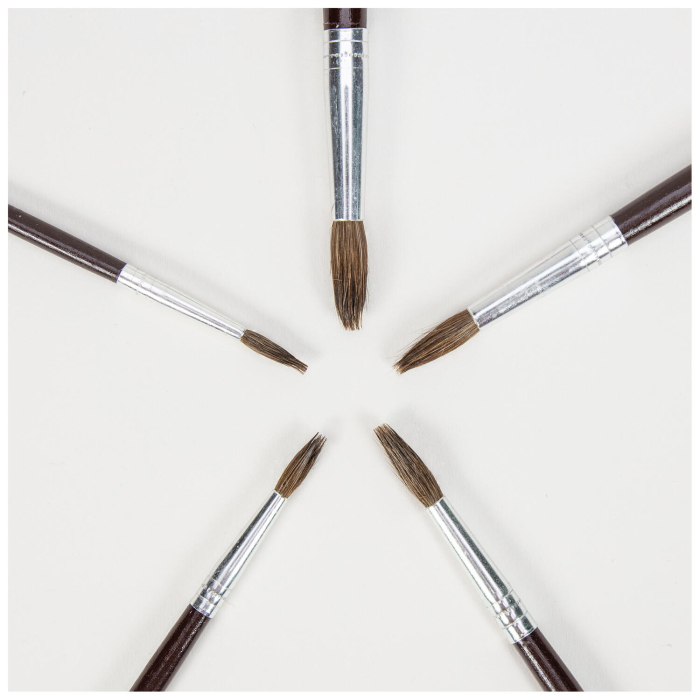 Set 5 pensule pictura [4]