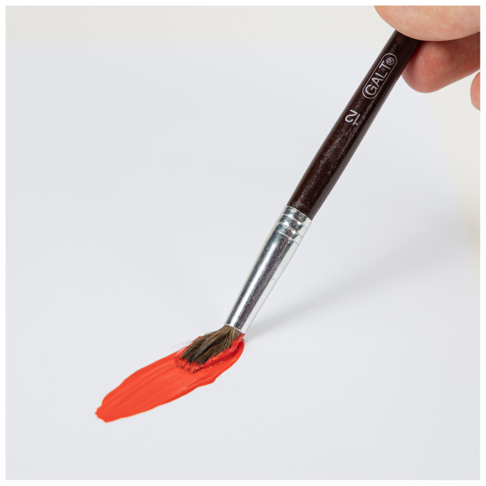 Set 5 pensule pictura [5]