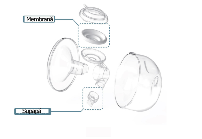 Set Cupe Hands Free (28 mm) [8]
