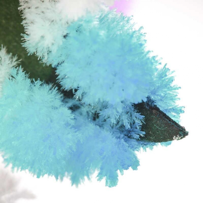 Set experimente - Copacul magic [3]