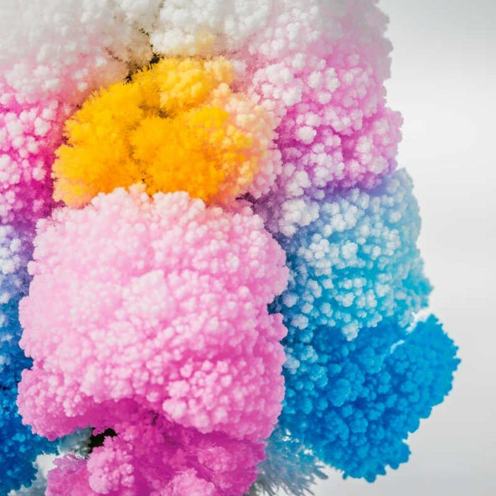 Set experimente - Copacul magic [5]