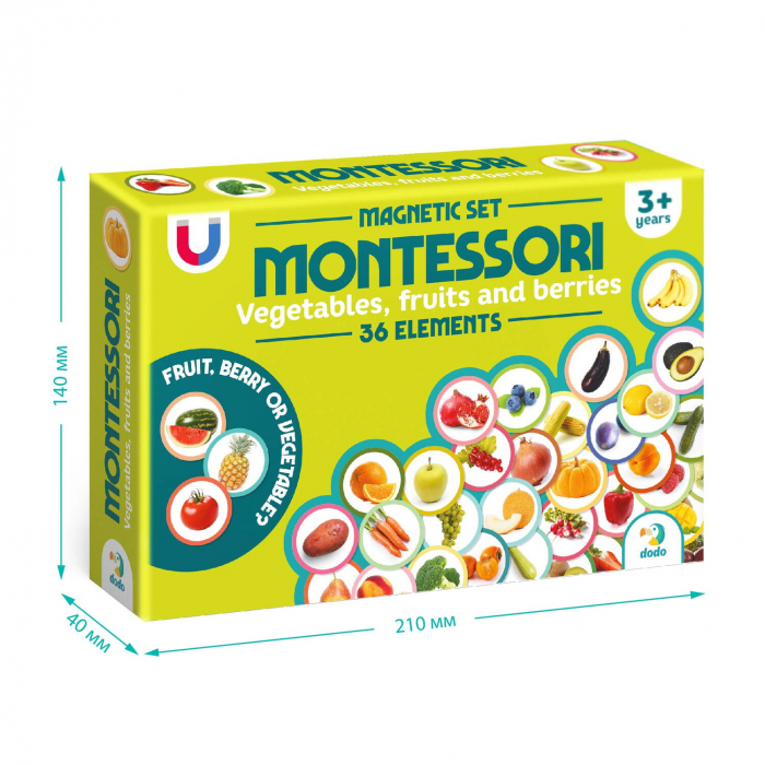 Set magneti Montessori - Fructe si legume [6]