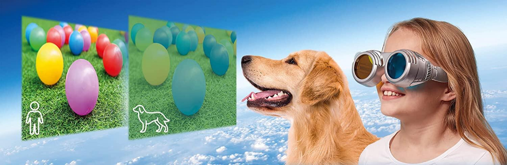 Set STEM - Descopera lumea prin alti ochi [10]