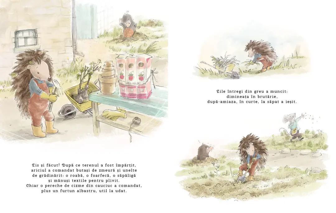 Soricelul Fursec si surpriza din gradina [4]