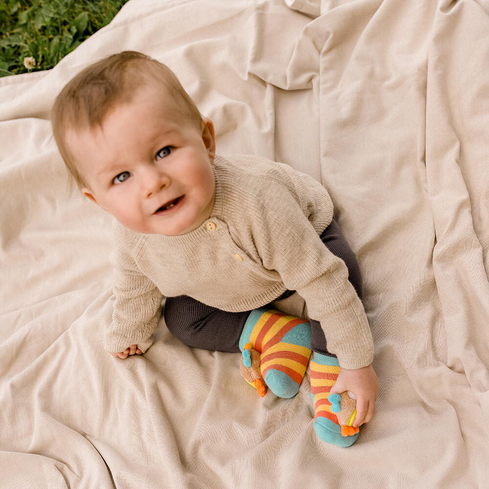 Sosete vesele - Bufnite [3]