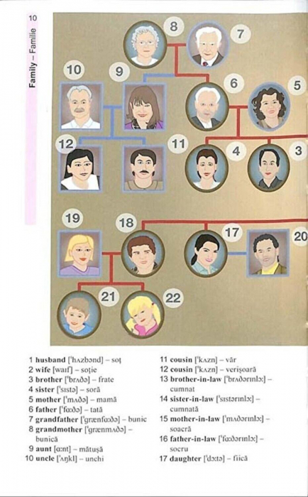 Vocabularul de baza in imagini - Limba engleza [11]