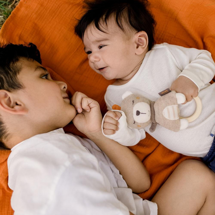 Zornaitoare - Ursulet somnoros [3]