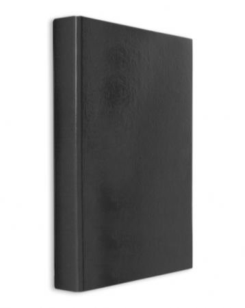 Caiete mecanice - CAIET MECANIC PLASTIFIAT 2 INELE A4 DACO N