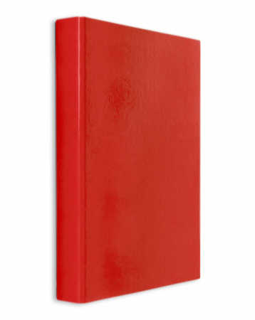 Caiete mecanice - CAIET MECANIC PLASTIFIAT 2 INELE A4 DACO R