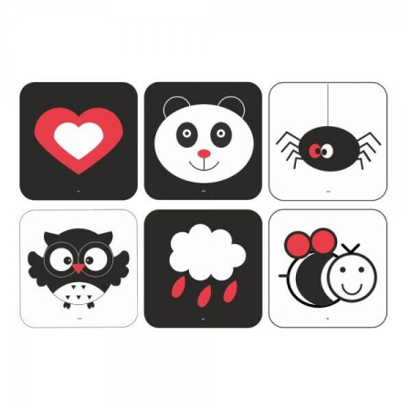 Carduri pentru stimulare vizuala tricolore (6 -12 luni) [1]