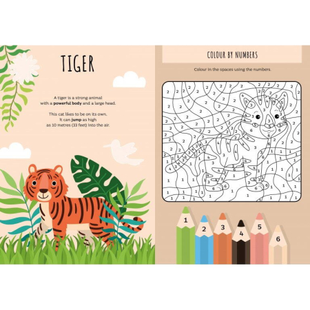 Carte de activitati cu abtibilduri - Jungla [2]