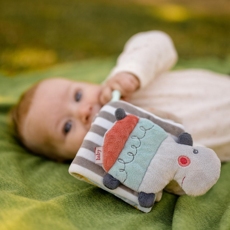 Carticica din plus - Loopy si Lotta [5]