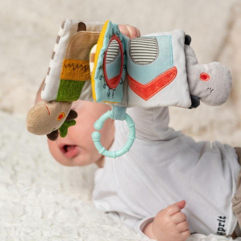 Carticica din plus - Loopy si Lotta [1]