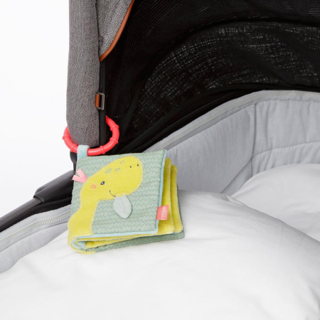 Carticica pentru bebelusi - Dinozaur [5]