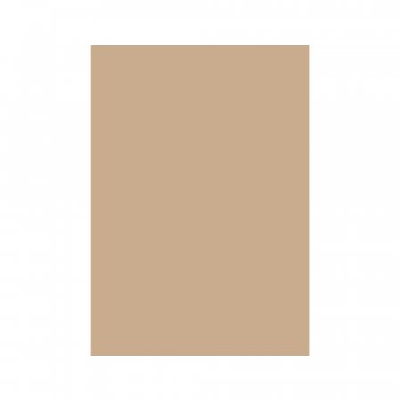 Cartoane colorate - CARTON COLOR 160G/MP  A4  MARO HAZELNUT