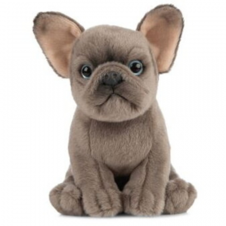 Catelus de plus Bulldog [1]