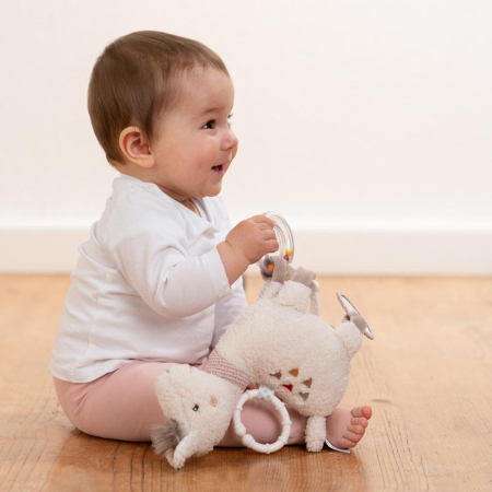 Centru de activitati - Lama [3]