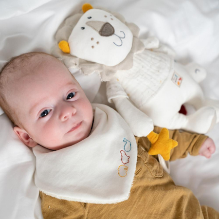 Centru de activitati - Leu NATUR [2]