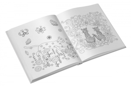 Colorez pisici - carte de colorat [3]