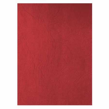 Coperți - COPERTA CARTON IMITATIE PIELE ECADA 41401R