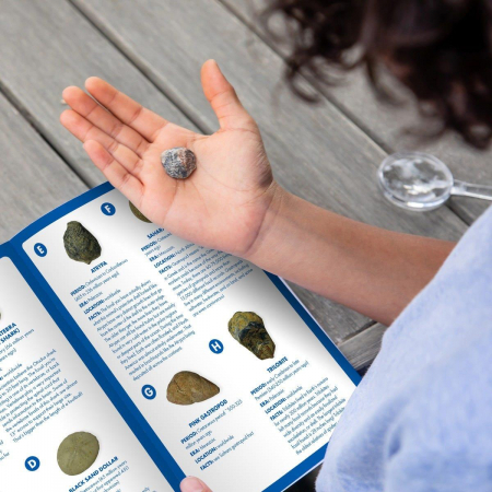 GeoSafari - Kit excavare fosile [10]