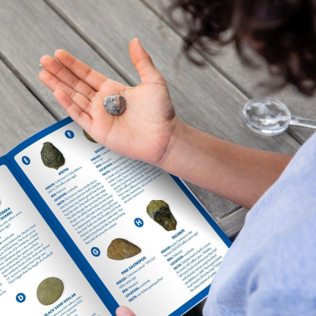 GeoSafari - Kit excavare fosile [10]