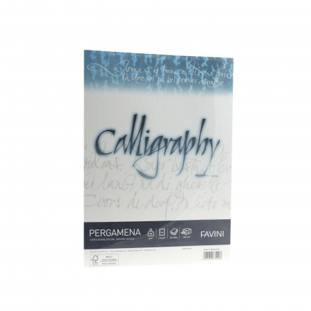 PAPETĂRIE - HARTIE CALIGRAFICA 90G/MP A4 50COLI ALB FAVINI PERGAMENA A690204