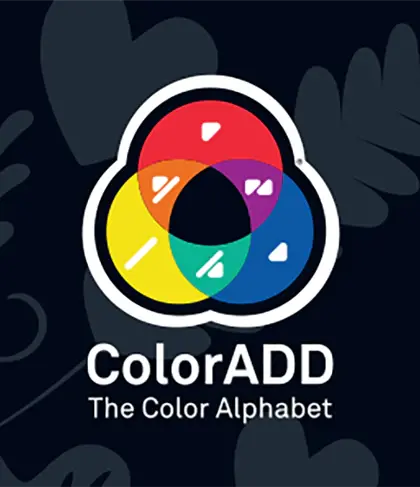 Joc Lambada - Carnavalul culorilor [6]